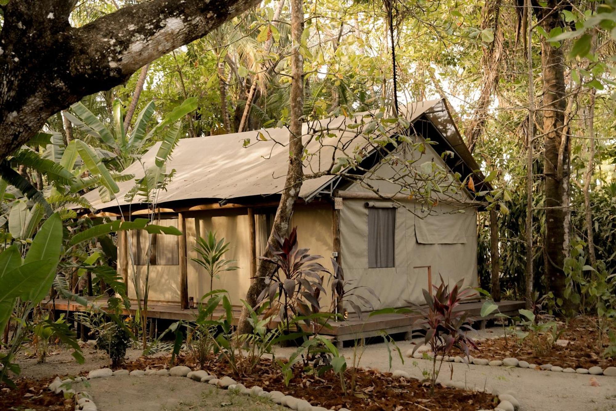 Zunya Bed & Breakfast Malpais Luaran gambar